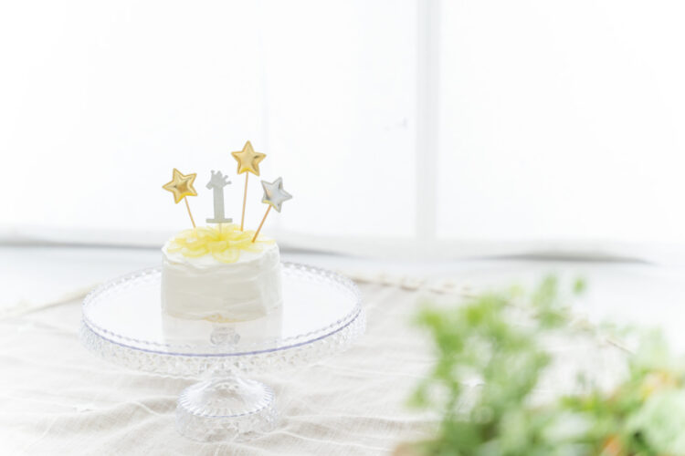 スマッシュケーキ_奈良市・生駒市・精華町_フォトスタジオワタナベ(渡辺写真館)奈良押熊店_基本料金